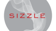 sizzle logo